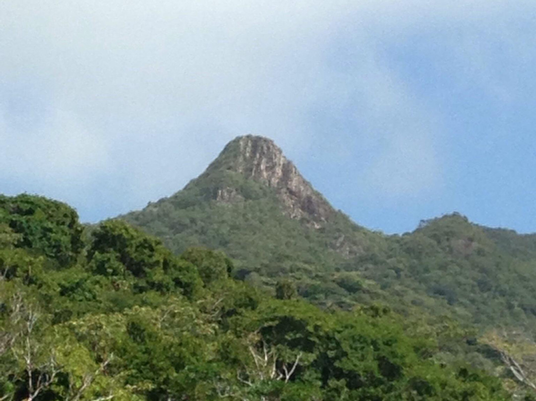 The Peak Forestry Reserve景点图片
