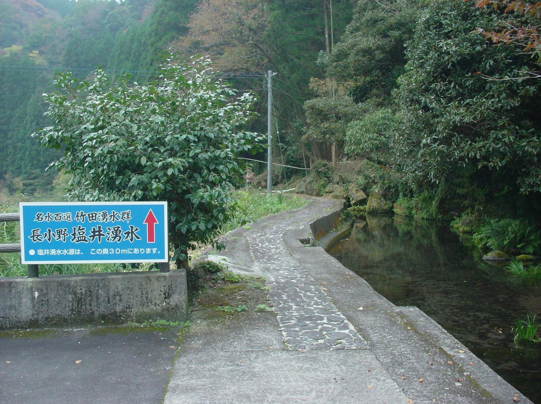 Taketa Spring Group-竹田市必去景点