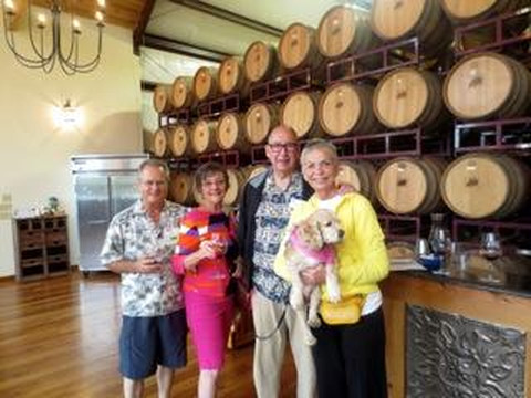 Texas Wine Tours-弗雷德里克斯堡必去景点