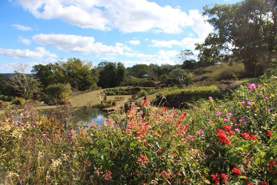 Maleny Botanic Gardens & Bird World景点图片