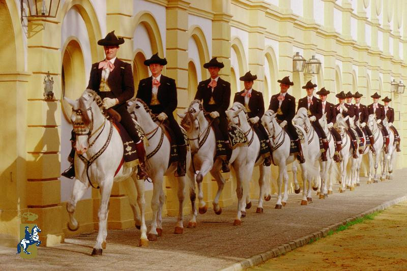 Fundacion Real Escuela Andaluza del Arte Ecuestre景点图片
