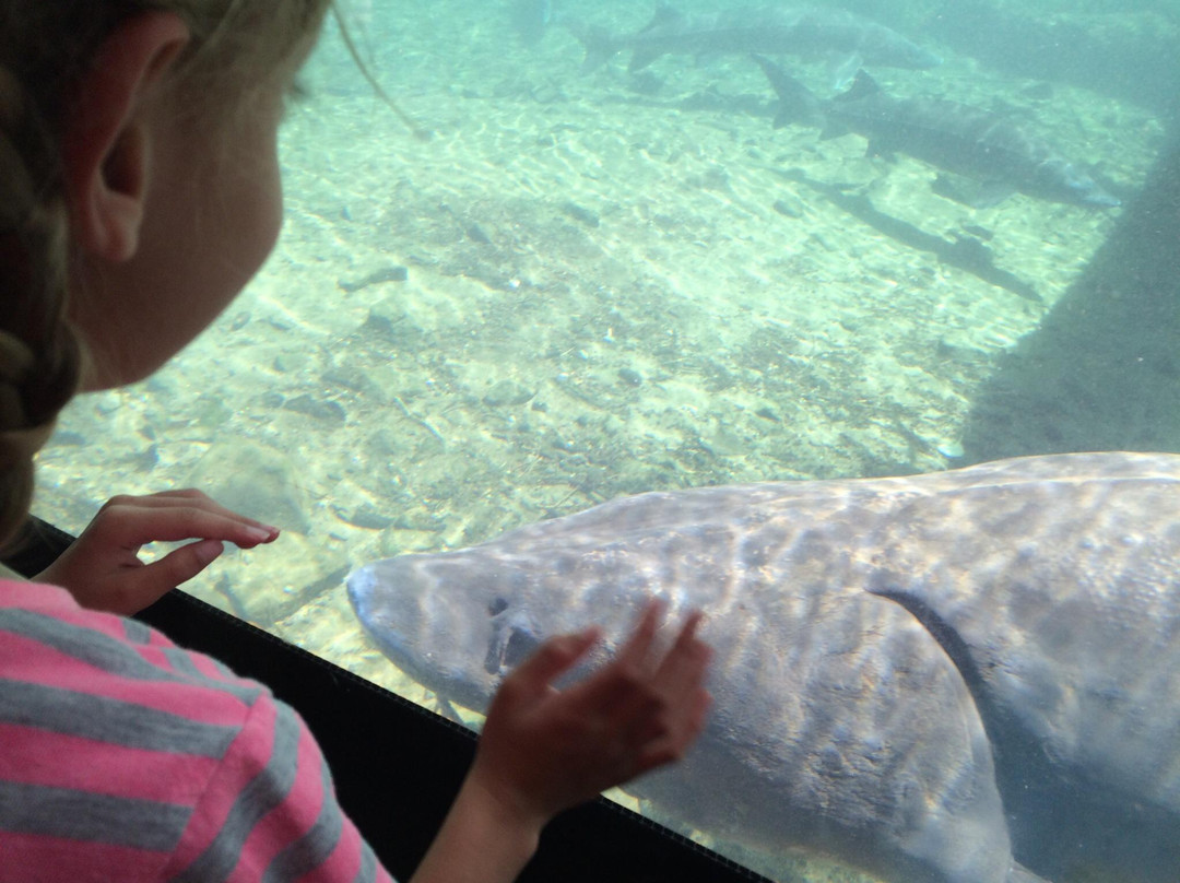Bonneville Hatchery-Cascade Locks必去景点