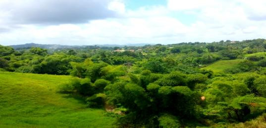 Habitation Josephine主图