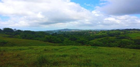 Habitation Josephine主图