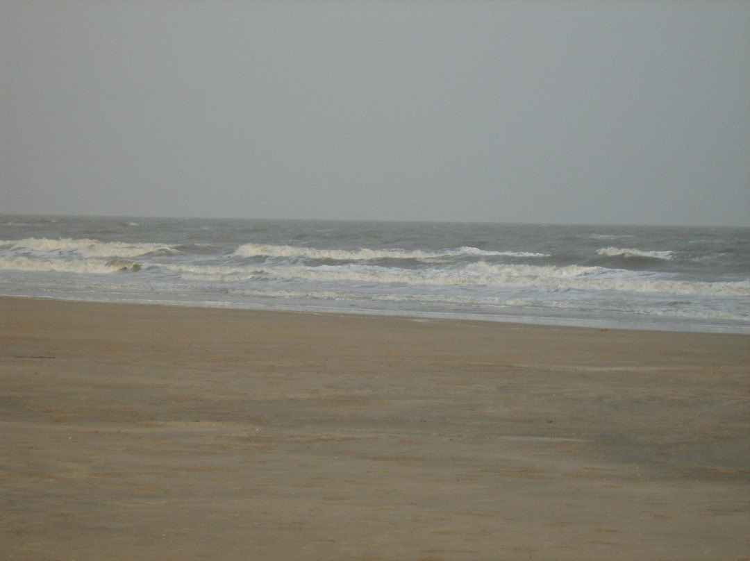 Shankarpur Beach景点图片