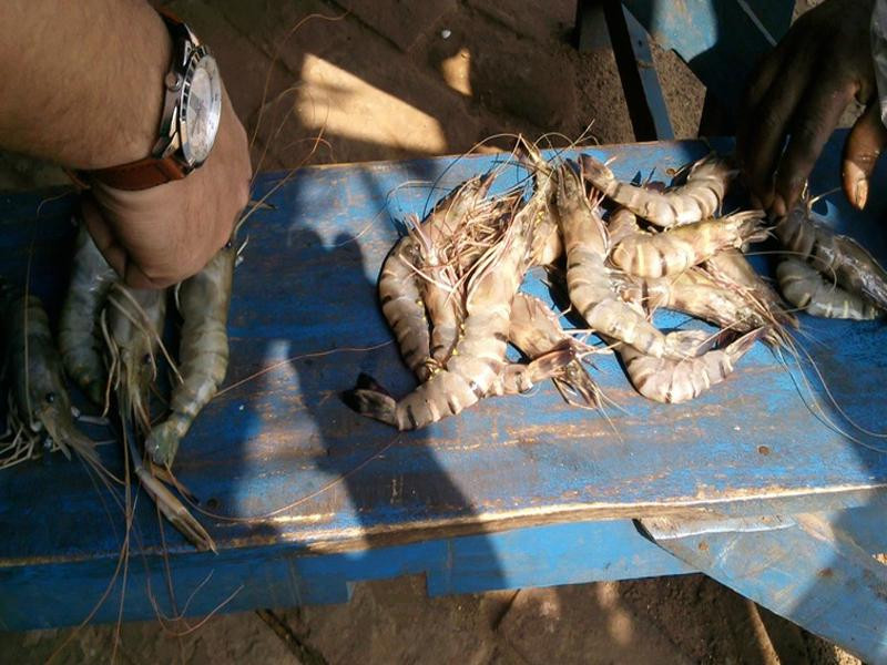 Hotel Sandy Bay主图