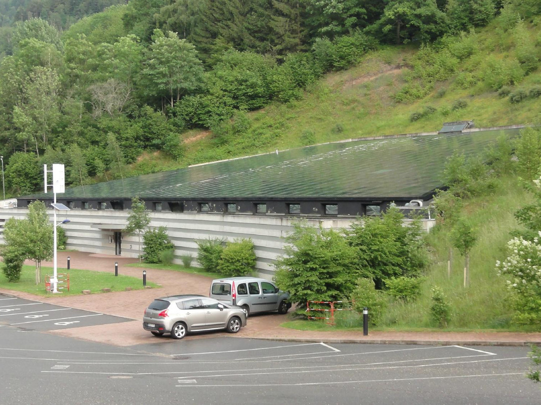 Parc Tellure景点图片