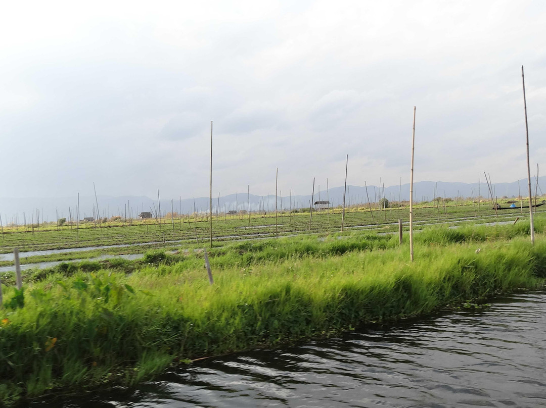 Floating Gardens-东枝必去景点