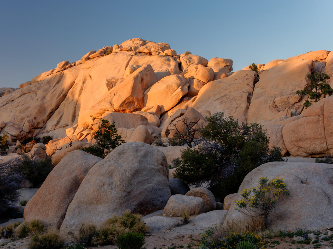 Wonderland of Rocks-约书亚树国家公园必去景点