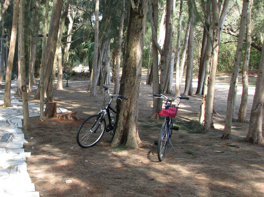 Dunedin Cyclery-达尼丁必去景点