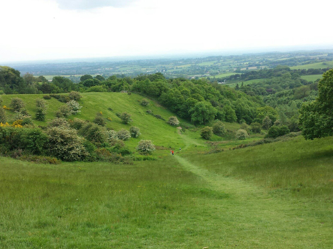 Waseley Hills Country Park景点图片