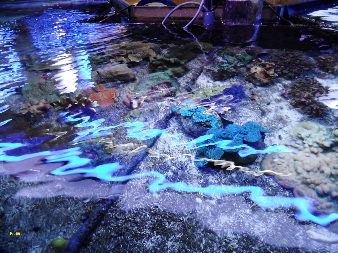 Aqua Expo景点图片