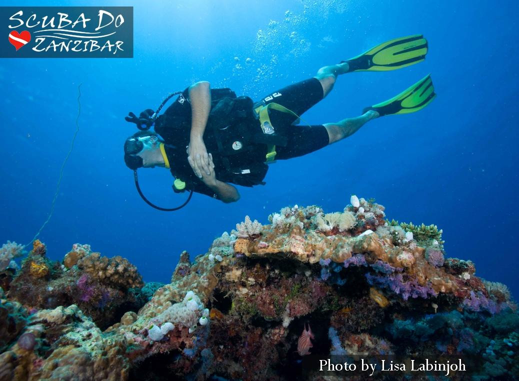 Scuba Do Zanzibar-Kendwa必去景点