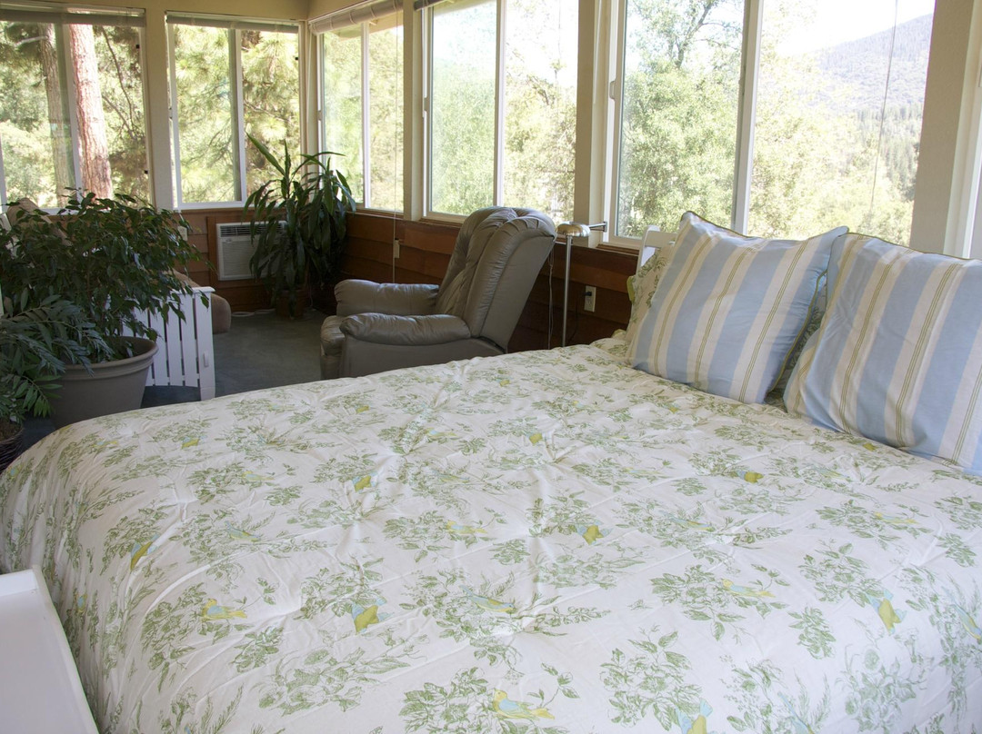 菲什营酒店住宿-玫瑰苗圃酒店