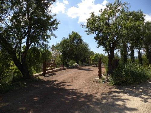 Amargeti Equestrian Club-Amargeti必去景点