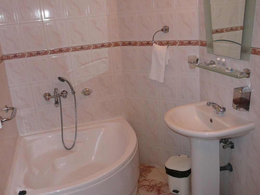 Airport Hotel Consul主图