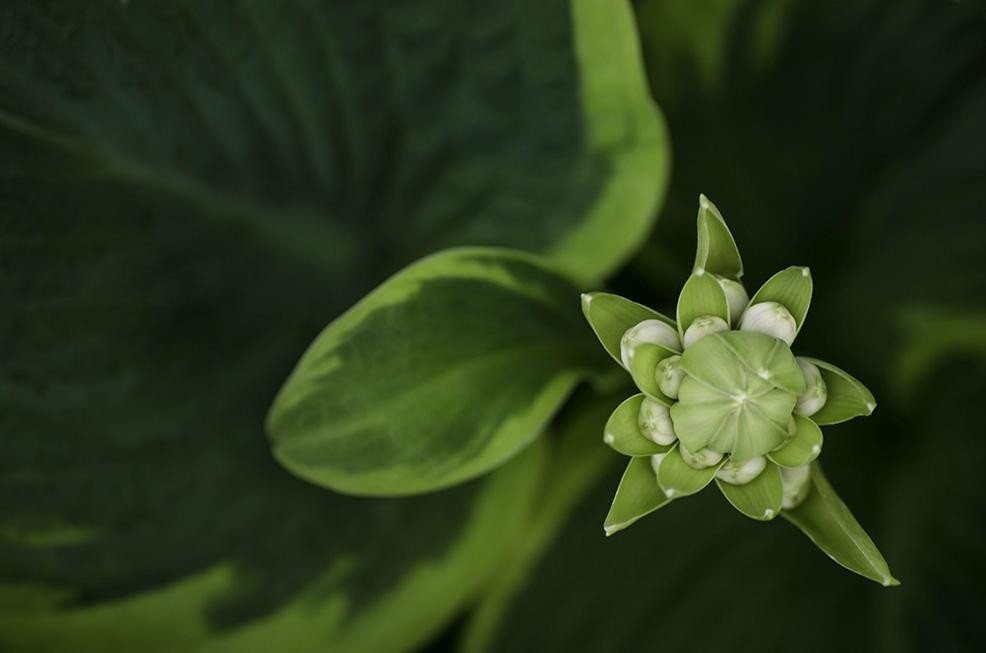 Greenland Garden Centre-舍伍德公园必去景点