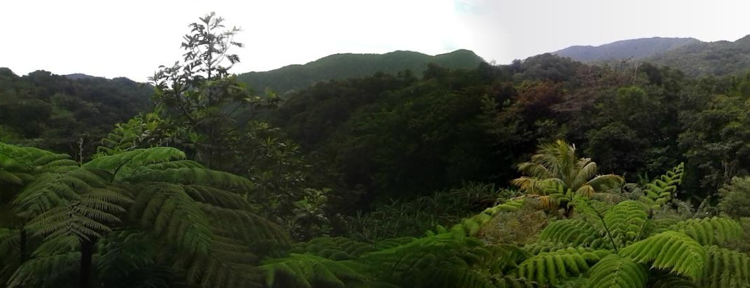 赛梅斯海滨别墅主图