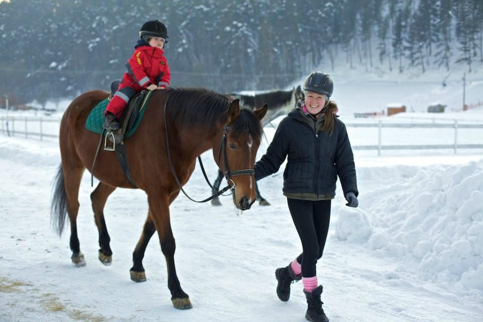 Villa Betula Resort - Horse Riding Arena景点图片