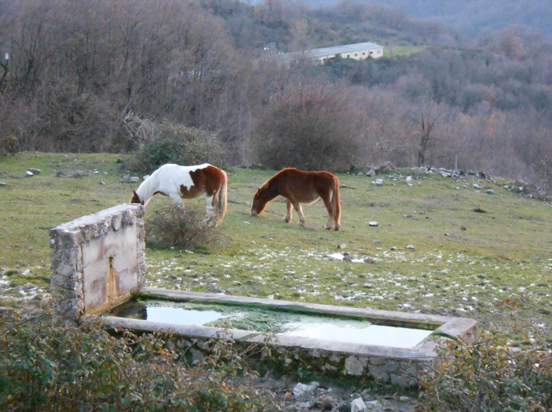 Parco Naturale Regionale dei Monti Lucretili景点图片