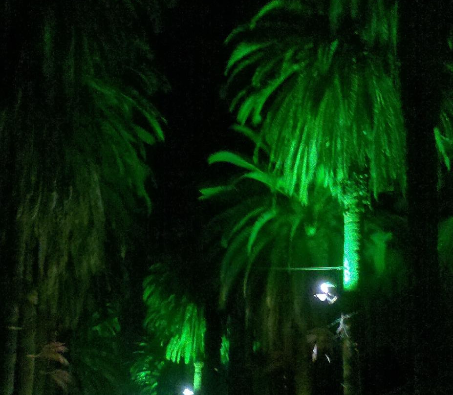 Carmel Winery – Rishon Le Zion Wine Cellars-Rishon Lezion必去景点