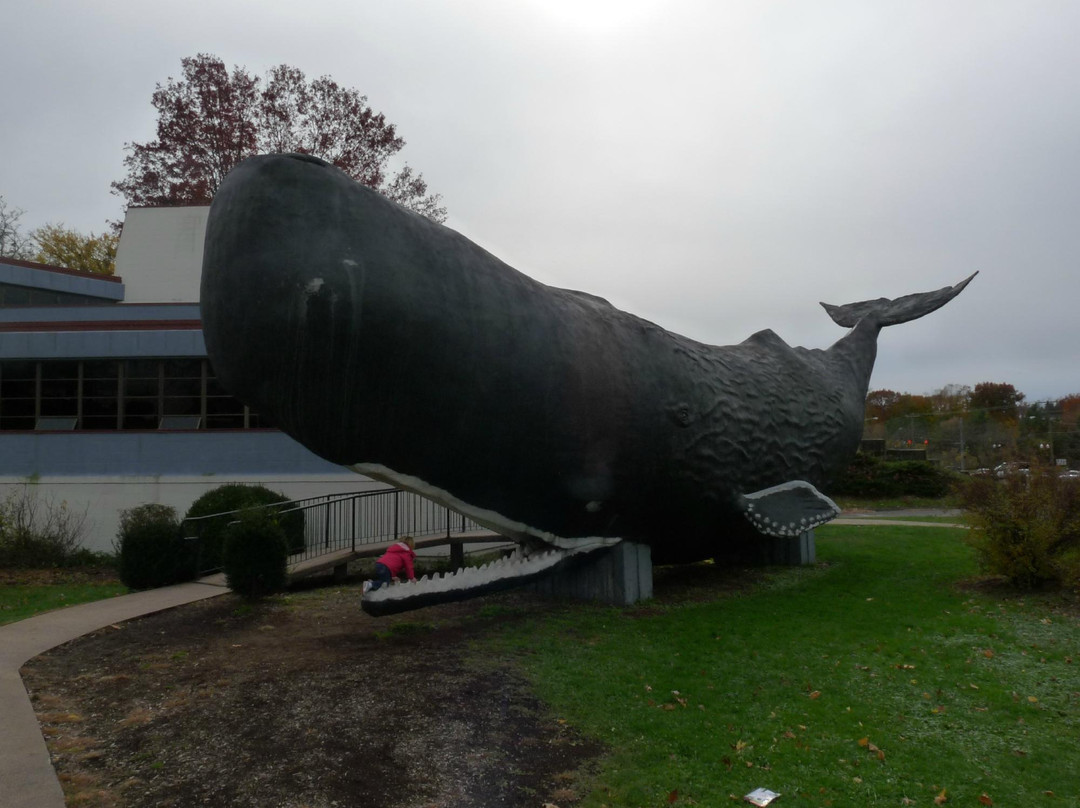 The Children's Museum