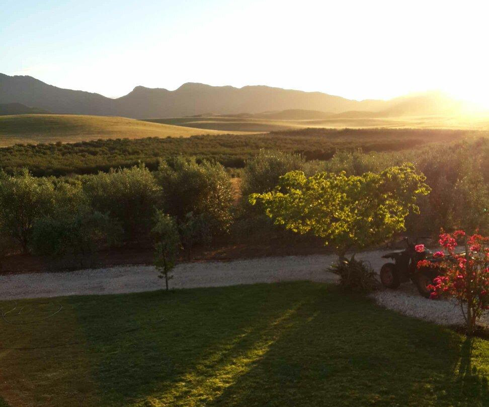 Marbrin Olive Farm-Robertson必去景点