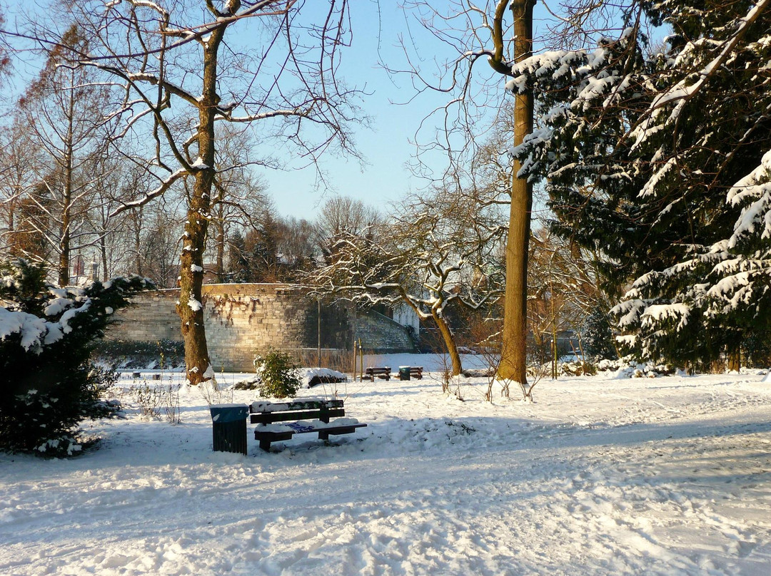 City Park-马斯特里赫特必去景点