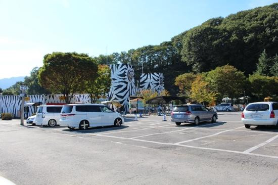 Gunma Safari Park景点图片