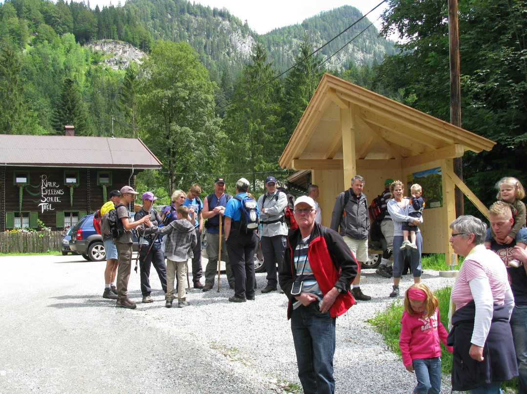 Hainzenberg酒店住宿-Apparthaus Hofer