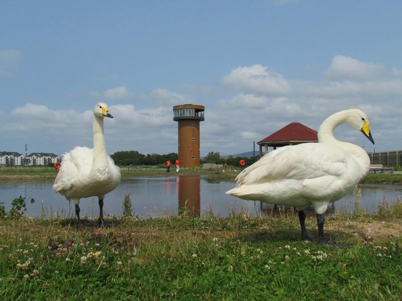 Tralee Bay Wetlands Eco and Activity Park-特拉利必去景点