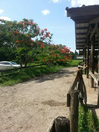 Bar-B-Ranch-戴维必去景点