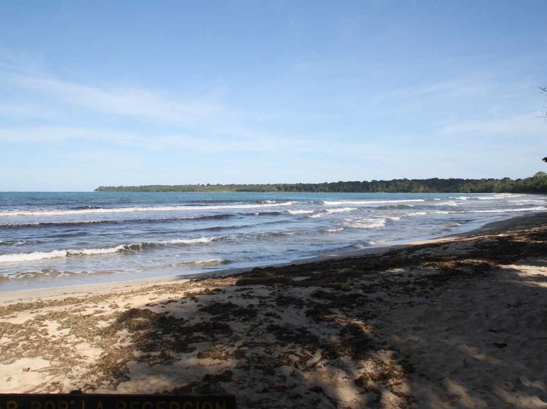 Cahuita National Park景点图片