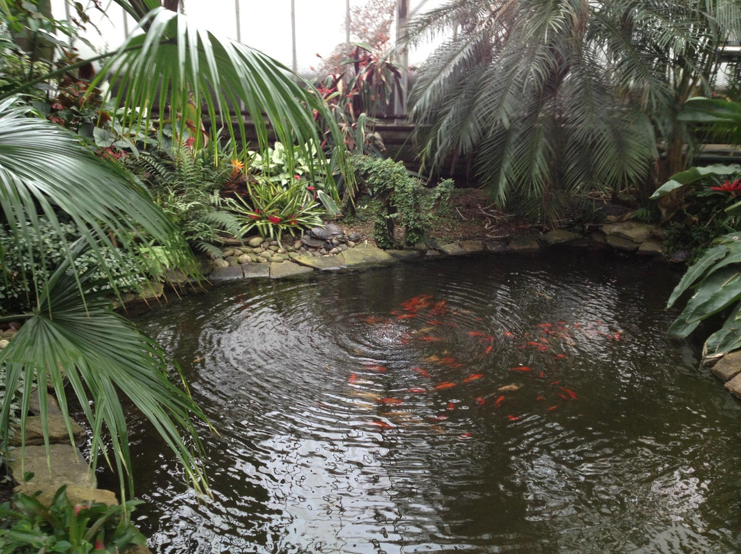 Manor Heath and Jungle Experience景点图片