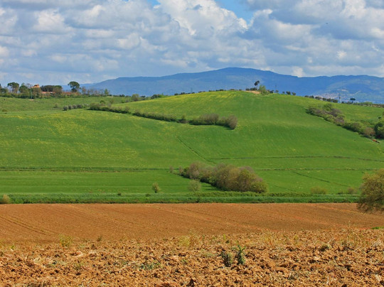 I Bike Tuscany-佛罗伦萨必去景点