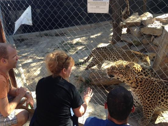 Eventieria Wildlife Park-瓦尔沃特必去景点
