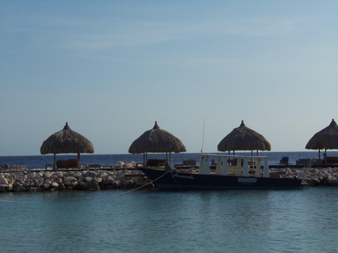 Blue Bay Golf Course-库拉索必去景点