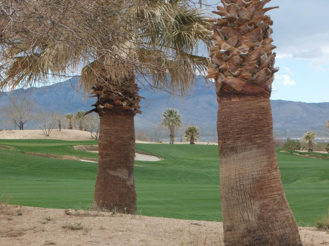 Primm Valley Golf Club - Desert Course-普里姆必去景点