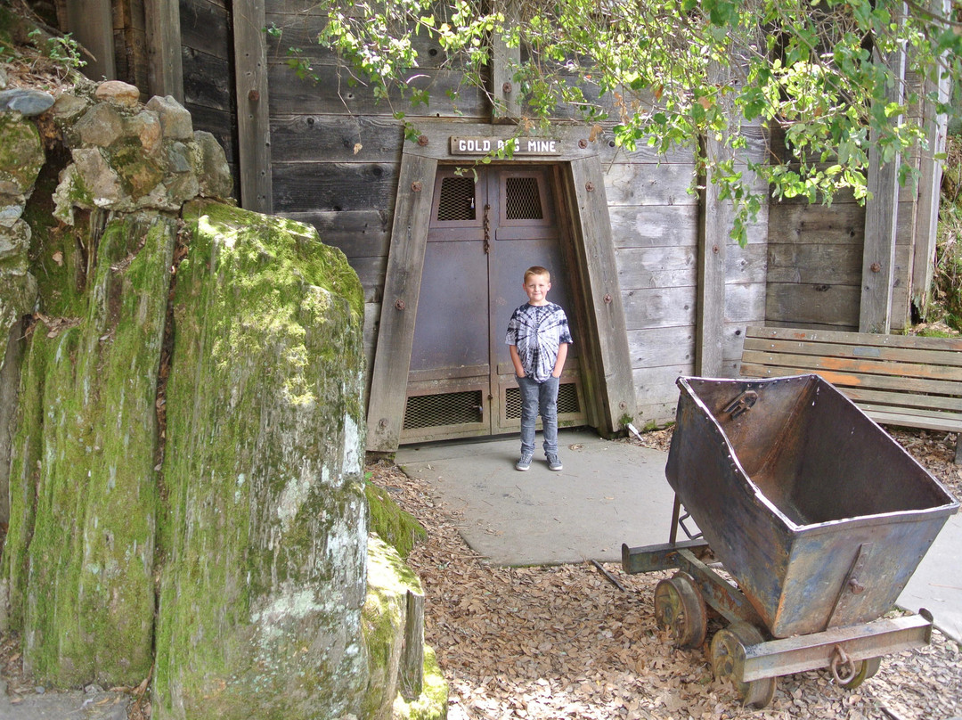 Hangtown's Gold Bug Park-普莱瑟维尔必去景点