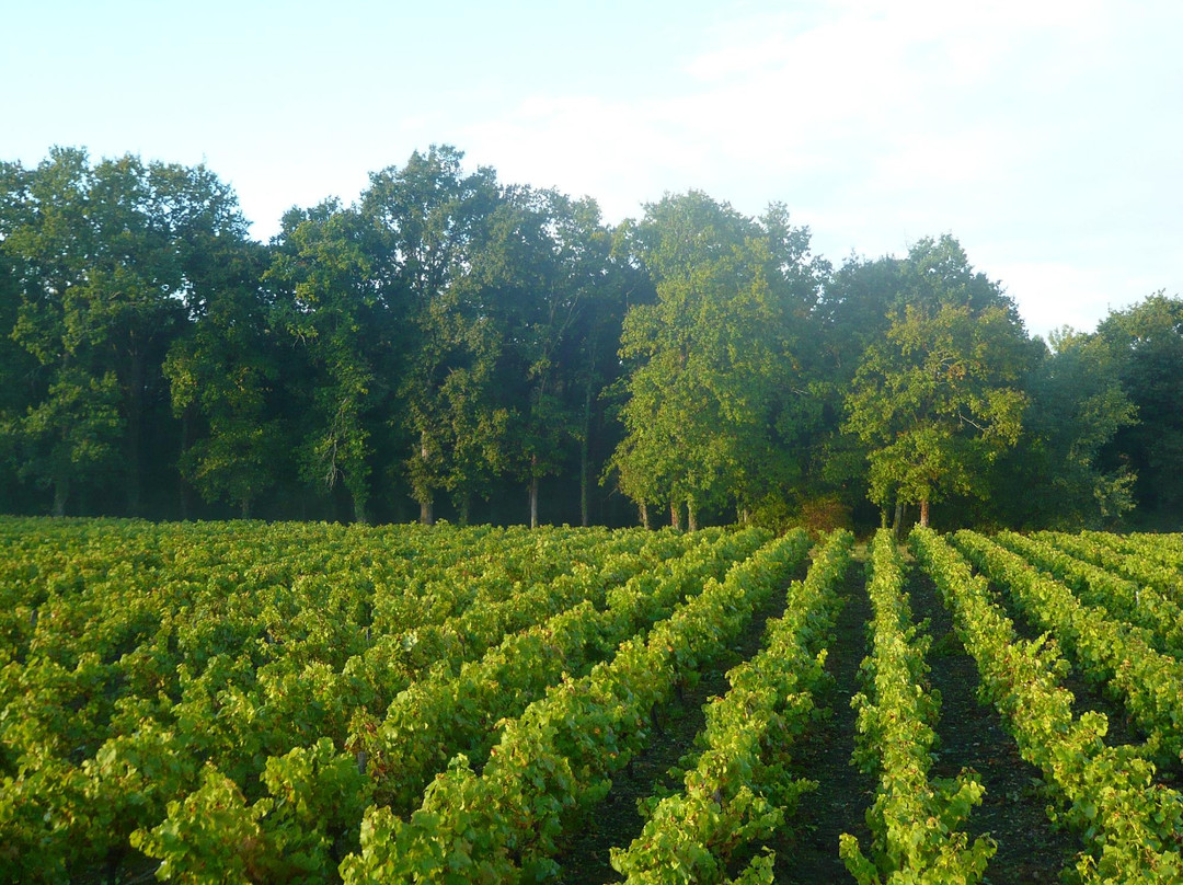 Domaine du Moulin景点图片