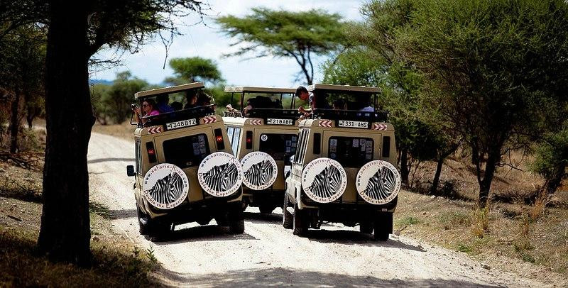 Safaris-R-Us景点图片