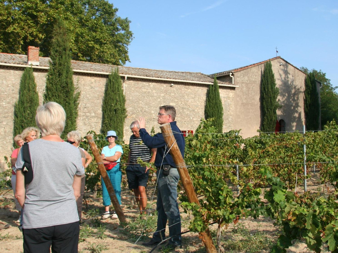 Languedoc Wine Tours景点图片