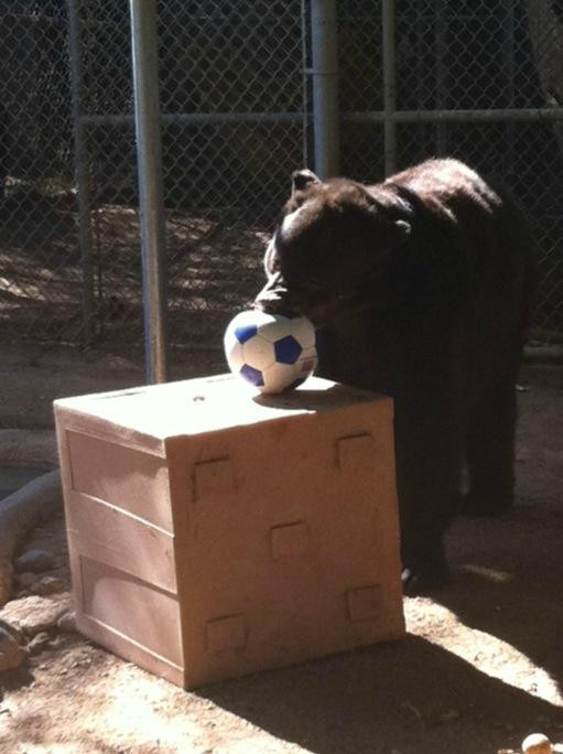 Southwest Wildlife Conservation Center-斯科茨代尔必去景点
