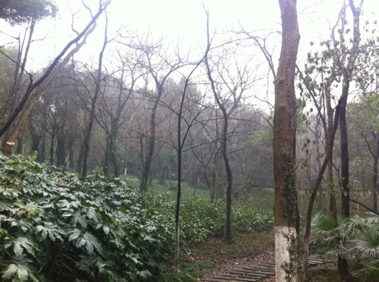 芜湖赭山-芜湖必去景点