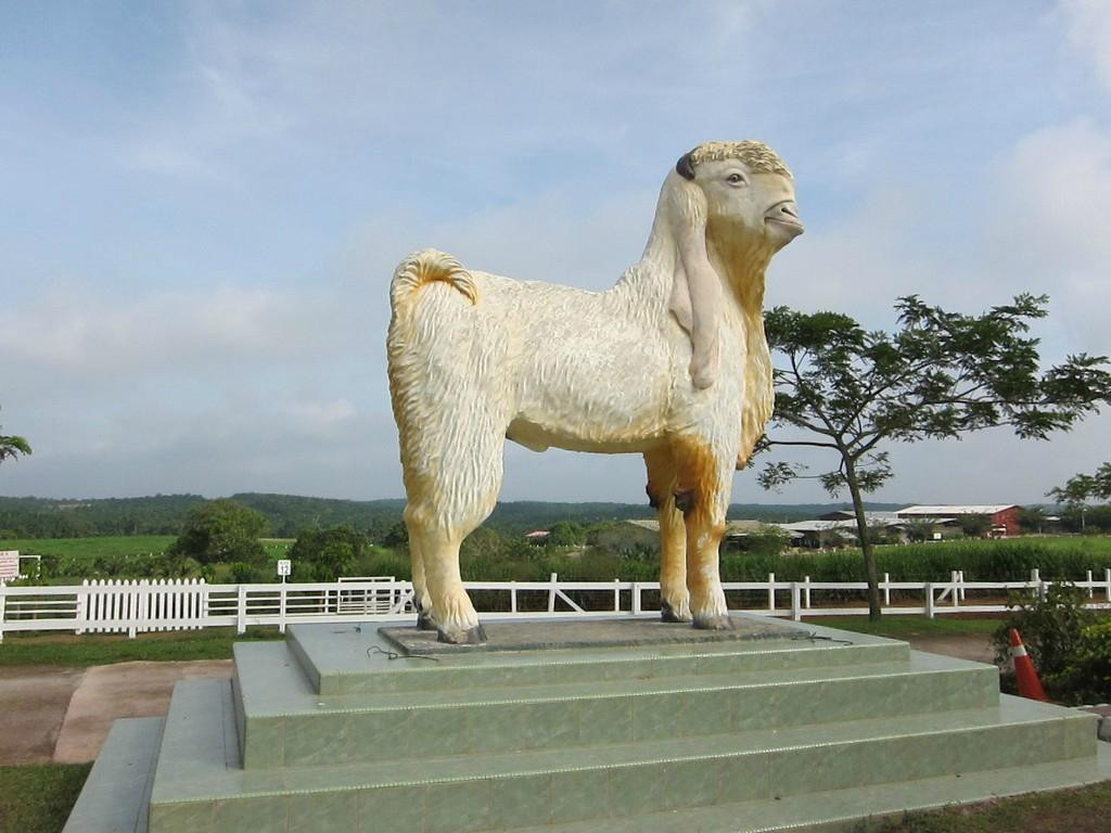 UK Farm-居銮必去景点