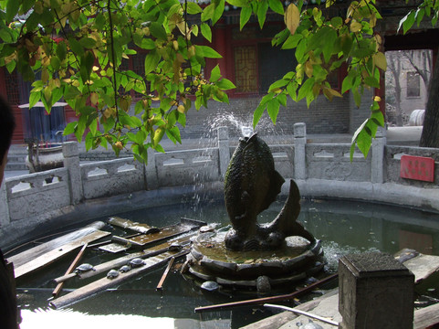 大兴善寺-西安市必去景点