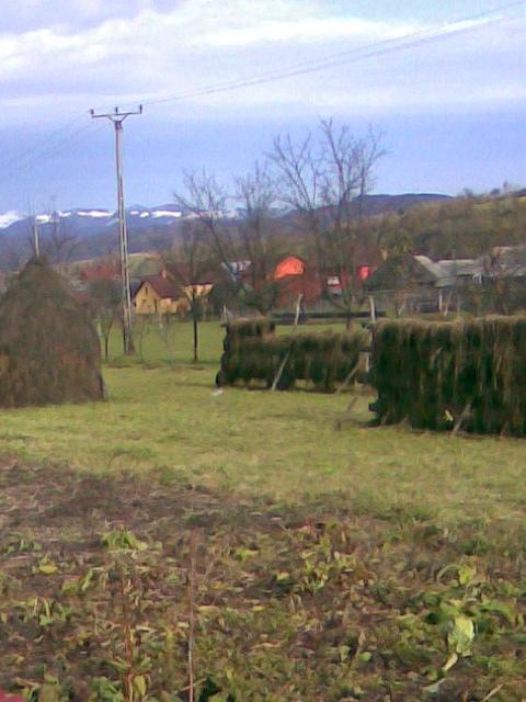 Pensiunea Ilea-客卧
