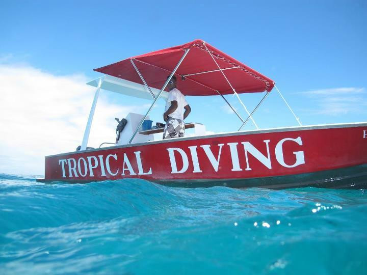 Tropical Diving景点图片