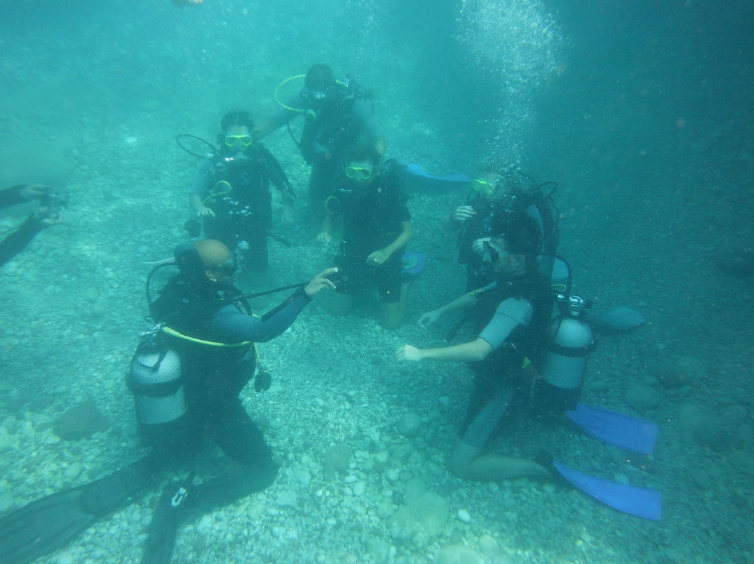 Mermaid Diving Club景点图片