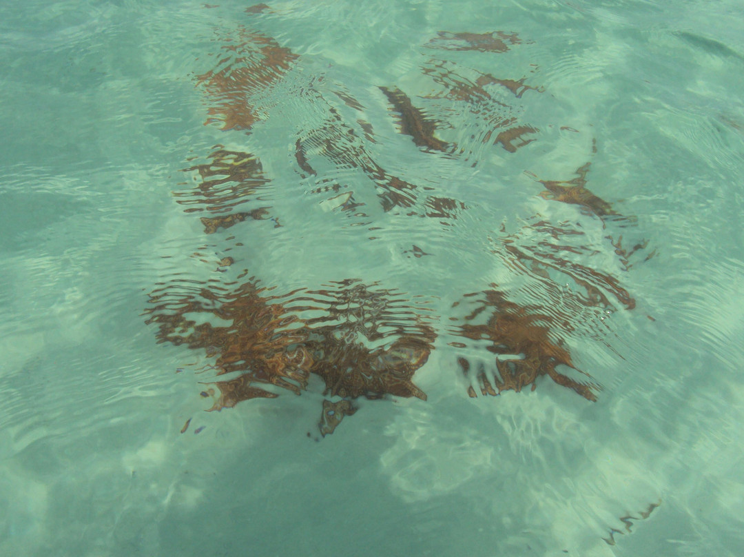 San Blas Islands景点图片
